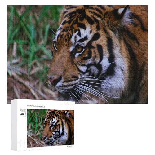 Wildwood Tiger Puzzle 300 Teile, natürliches Lindenholz Puzzle für Kinder und Erwachsene Wildwood Tiger Puzzle 300 Teile, natürliches Lindenholz Puzzle für Kinder und Erwachsene von Generisch