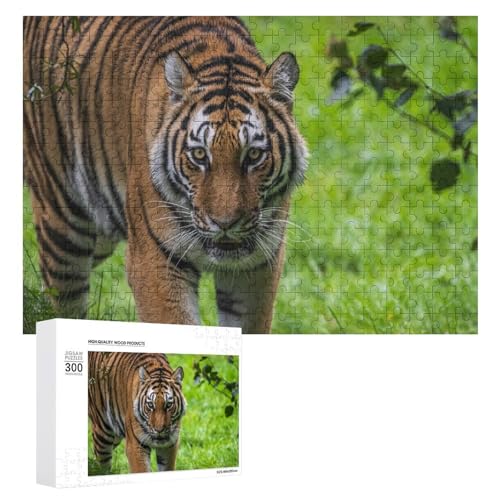 Wildwood Tiger Puzzle 300 Teile Lindenholz Wildlife Thema zur Entspannung Wildwood Tiger Puzzle 300 Teile Lindenholz Wildlife Thema zur Entspannung von Generisch