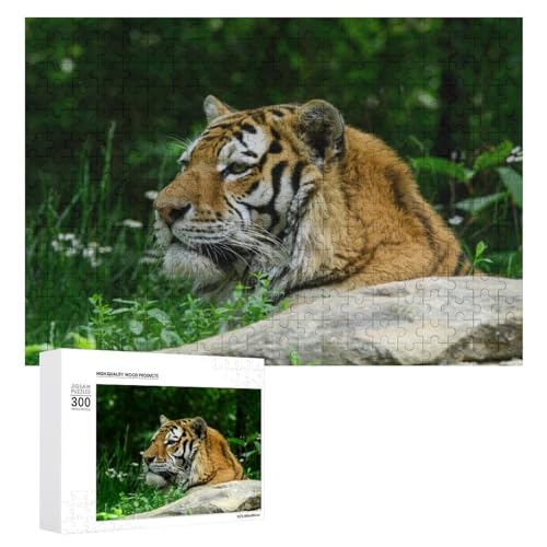 Wildwood Tiger Puzzle - 300 Teile aus Lindenholz - Familienspiel zur Entspannung von Generisch