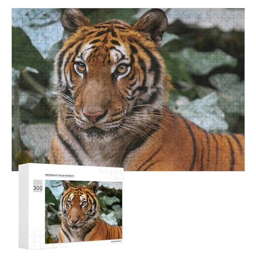 Wildwood Tiger Themenpuzzle 300 Teile Lindenholz Wildlife Puzzle für Zuhause Wildwood Tiger Themenpuzzle 300 Teile Lindenholz Wildlife Puzzle für Zuhause von Generisch
