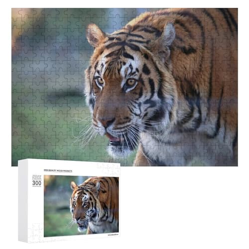 Wildwood Wildlife Puzzle 300 Teile Lindenholz Tiger Puzzle für Zuhause Wildwood Wildlife Puzzle 300 Teile Lindenholz Tiger Puzzle für Zuhause von Generisch