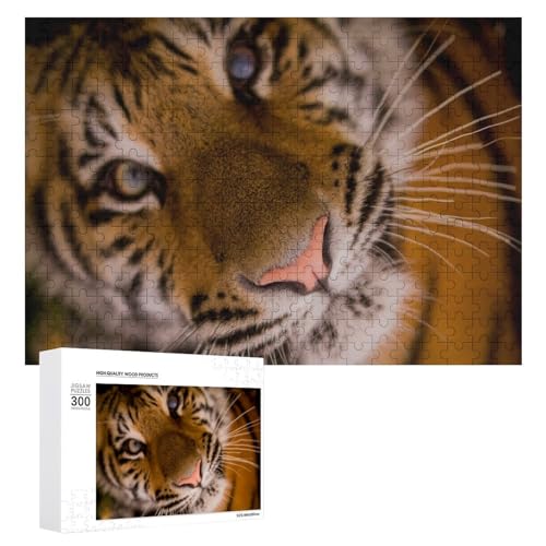 Wildwood Wildlife Tiger Puzzle 300 Teile Lindenholz Puzzle für Naturfans Wildwood Wildlife Tiger Puzzle 300 Teile Lindenholz Puzzle für Naturfans von Generisch