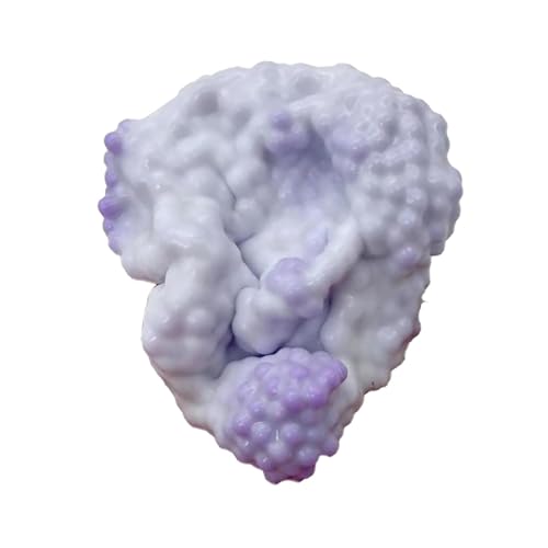 YoyoSquishy Trauben-Stressball, Kleines Perlen Quetschball, Bunte Perlen, Formbarer Vakuumball, Handgefertigtes Multifunktionales Fidget Zubehör für Kinder von Generisch