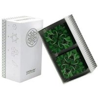 GEOBENDER GBC-BEES-2ERX GeoBender® Cube 2er Geschenkbox ''Bees®'' von GeoBender®