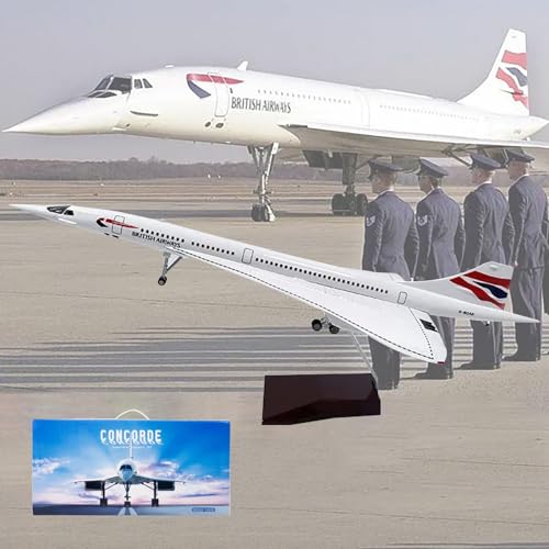 19,7" 1:125 Air France Concorde Modell Jet Passagierflugzeug Modell Vorgefertigtes Flugzeugmodell Druckguss-Metallsimulation Luftfahrtsammlung Geschenk (Size : British Airways) von GerRit