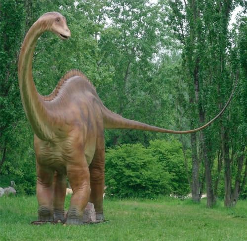 Puzzle 1000 Teile DIPLODOCUS GLOSSY POSTER BILD FOTO Dinosaurier Knochen Jurassic Fossilien Park Family Fun Puzzles Puzzles 1000 Teile für Erwachsene Geschenke Herausfordernde Puzzle-Spiele von Geroclonup