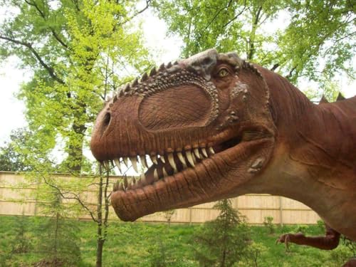 Puzzle 1000 Teile GIGANTOSAURUS GLOSSY POSTER BILD FOTO Dinosaurier Park Jurassic t Rex Cool Family Fun Puzzles 1000 Teile für Erwachsene Geschenke Herausfordernde Puzzlespiele Puzzle 1000 Teile GIGANTOSAURUS GLOSSY POSTER BILD FOTO Dinosaurier Park Jurassic t Rex Cool Family Fun Puzzles 1000 Teile für Erwachsene Geschenke Herausfordernde Puzzlespiele von Geroclonup