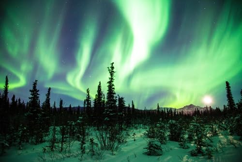 Puzzle für Erwachsene, 1000 Teile, Aurora Borealis, Nordlichter, Wandkunst, Raumdekoration, ästhetische Bauernhaus-Dekoration, Winter, Familie, lustig, herausfordernd, Urlaubspuzzle, Geschenk Puzzle für Erwachsene, 1000 Teile, Aurora Borealis, Nordlichter, Wandkunst, Raumdekoration, ästhetische Bauernhaus-Dekoration, Winter, Familie, lustig, herausfordernd, Urlaubspuzzle, Geschenk von Geroclonup