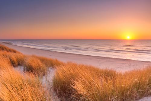 Puzzle für Erwachsene 1000 Teile Dünen Strand bei Sonnenuntergang Texel Island Die Niederlande Foto Familie Lustige Herausfordernde Urlaubspuzzles für Erwachsene Puzzle Geschenk für Frauen Männer Puzzle für Erwachsene 1000 Teile Dünen Strand bei Sonnenuntergang Texel Island Die Niederlande Foto Familie Lustige Herausfordernde Urlaubspuzzles für Erwachsene Puzzle Geschenk für Frauen Männer von Geroclonup