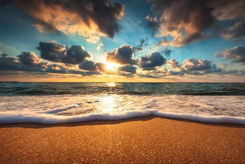 Puzzle für Erwachsene 1000 Teile Schöne Strand Puzzle Sonnenaufgang über dem Meer Landschaft Foto Sonnenuntergang Hawaii Palme Bilder Natur Familie Lustig Herausfordernd Urlaub Puzzles Geschenk Puzzle für Erwachsene 1000 Teile Schöne Strand Puzzle Sonnenaufgang über dem Meer Landschaft Foto Sonnenuntergang Hawaii Palme Bilder Natur Familie Lustig Herausfordernd Urlaub Puzzles Geschenk von Geroclonup