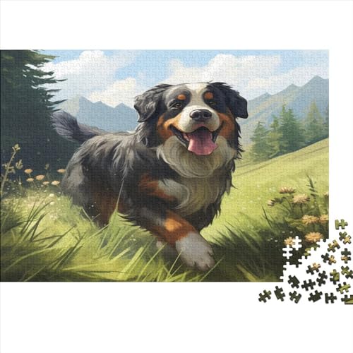 Bernese Mountain Dog Puzzle 1000 Teile Für Erwachsene Family Challenging Games Wohnkultur Lernspiel Geburtstag Entspannung Und Intelligenz 1000pcs (75x50cm) von Gerrit