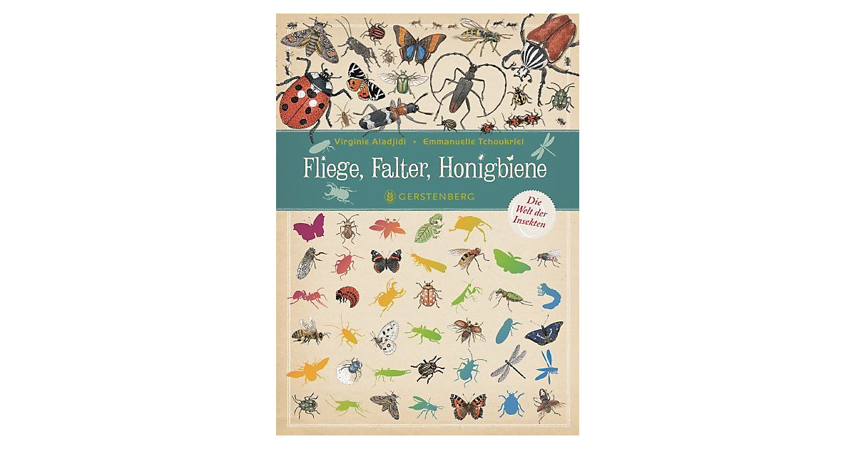 Buch - Fliege, Falter, Honigbiene von Gerstenberg Verlag