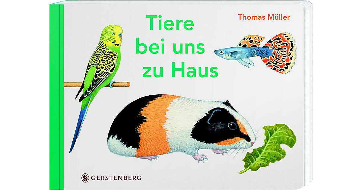Buch - Tiere bei uns zu Haus Buch - Tiere bei uns zu Haus von Gerstenberg Verlag