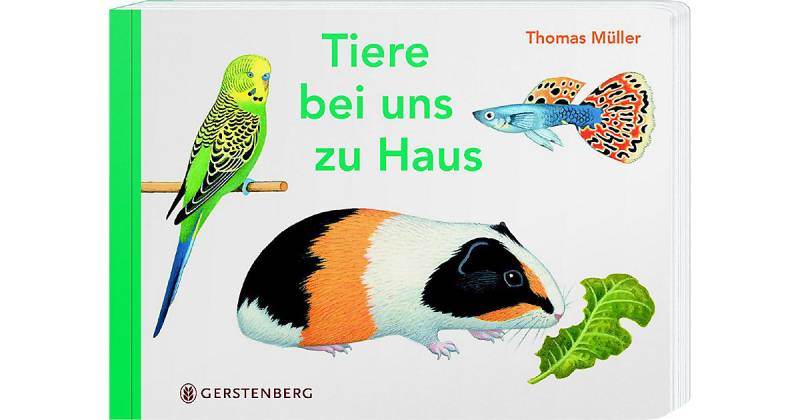 Buch - Tiere bei uns zu Haus von Gerstenberg Verlag