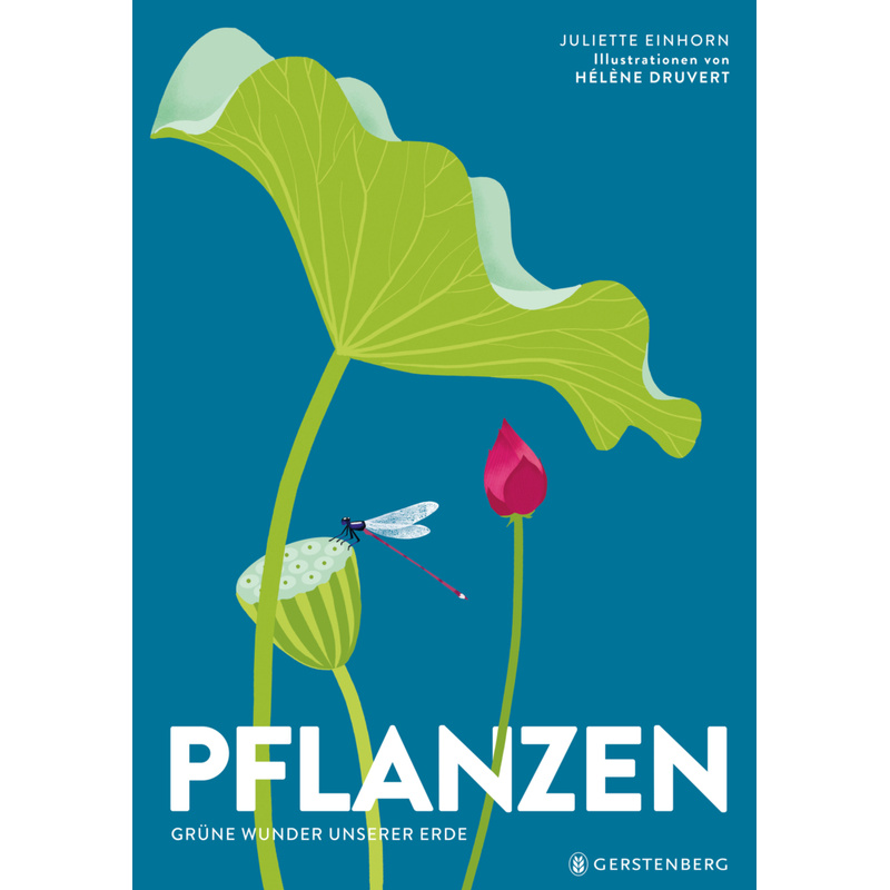 Pflanzen von Gerstenberg Verlag