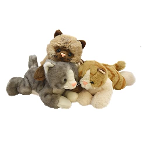 Katzenbabies Kuscheltiere Katzen Baby 23 cm Plüschtier 3 Stück von Geschenkestadl