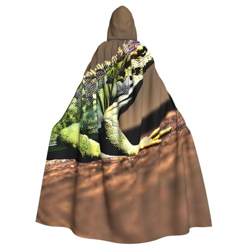 Ghjkfbf Kapuzenumhang mit Eidechse, HD-Druck, für Erwachsene, stilvoll, für Karneval, Motto-Partys, Cosplays Ghjkfbf Kapuzenumhang mit Eidechse, HD-Druck, für Erwachsene, stilvoll, für Karneval, Motto-Partys, Cosplays von Ghjkfbf
