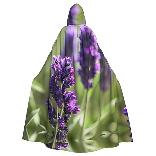 Ghjkfbf Lavendelfarbener Blumendruck, Halloween-Kapuzenumhang für Erwachsene, stilvoller Umhang für Karneval, Motto-Partys, Cosplays Ghjkfbf Lavendelfarbener Blumendruck, Halloween-Kapuzenumhang für Erwachsene, stilvoller Umhang für Karneval, Motto-Partys, Cosplays von Ghjkfbf