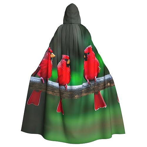 Ghjkfbf Roter süßer Vogel-Aufdruck, Halloween-Kapuzenumhang für Erwachsene, stilvoller Umhang für Karneval, Mottopartys, Cosplays Ghjkfbf Roter süßer Vogel-Aufdruck, Halloween-Kapuzenumhang für Erwachsene, stilvoller Umhang für Karneval, Mottopartys, Cosplays von Ghjkfbf