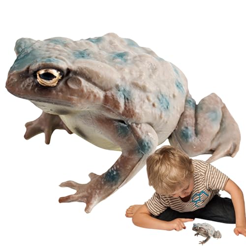 Ghjkldha Educational Animal Toy, Realistic Frog Figurine, Frog Statue Decor, 2.44x1.93x1.26 Inches Bullfrog Model, Nature-Inspired Design, Home and School 34g Material PVC Ghjkldha Educational Animal Toy, Realistic Frog Figurine, Frog Statue Decor, 2.44x1.93x1.26 Inches Bullfrog Model, Nature-Inspired Design, Home and School 34g Material PVC von Ghjkldha