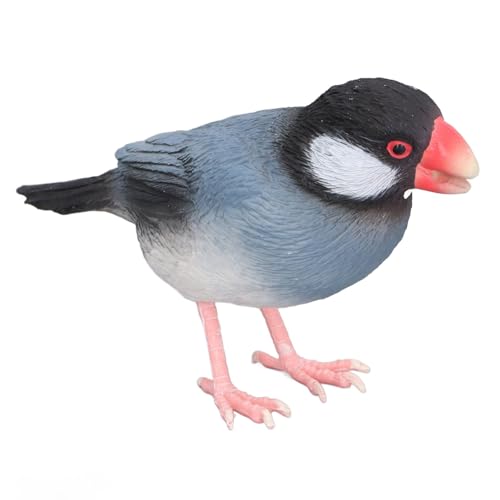 Ghzste Lifelike Vogelmodell, Sicheres Material, Bildungsspielzeug für Kinder, Einfallsreiches Spiel, Multi Funktionaler Ornament, Vogelskulptur, Vogelfigur, Vogelstatue von Ghzste