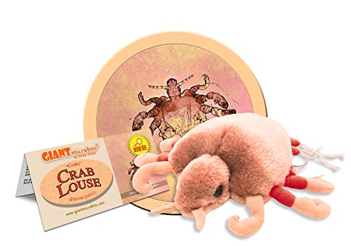 Giant Microbes Crab Louse (Pthirus Pubis) 6" Plush von GIANT MICROBES