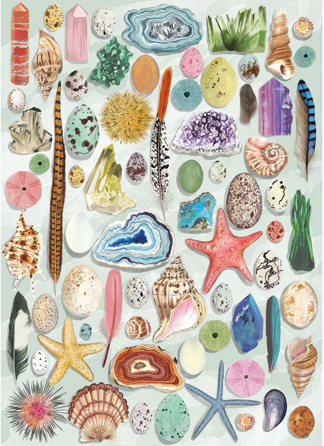 Gibsons Puzzle 1000 Teile – The Art File: Natural Curiosities - Gibsons Puzzle 1000 Teile – The Art File: Natural Curiosities - von Gibsons Puzzle