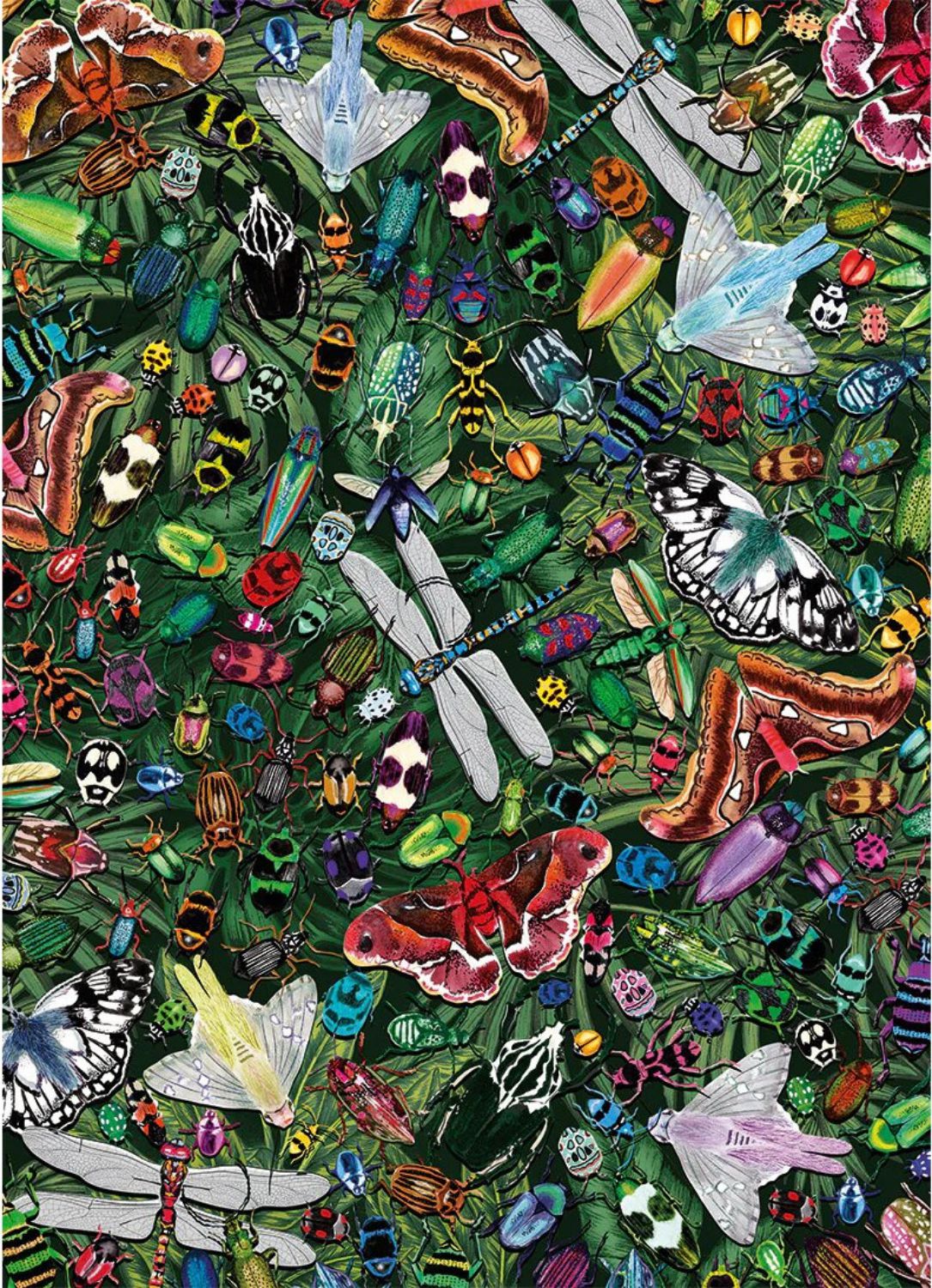 Gibsons Puzzle 1000 Teile – The Art File: Winged Wonders - Gibsons Puzzle 1000 Teile – The Art File: Winged Wonders - von Gibsons Puzzle
