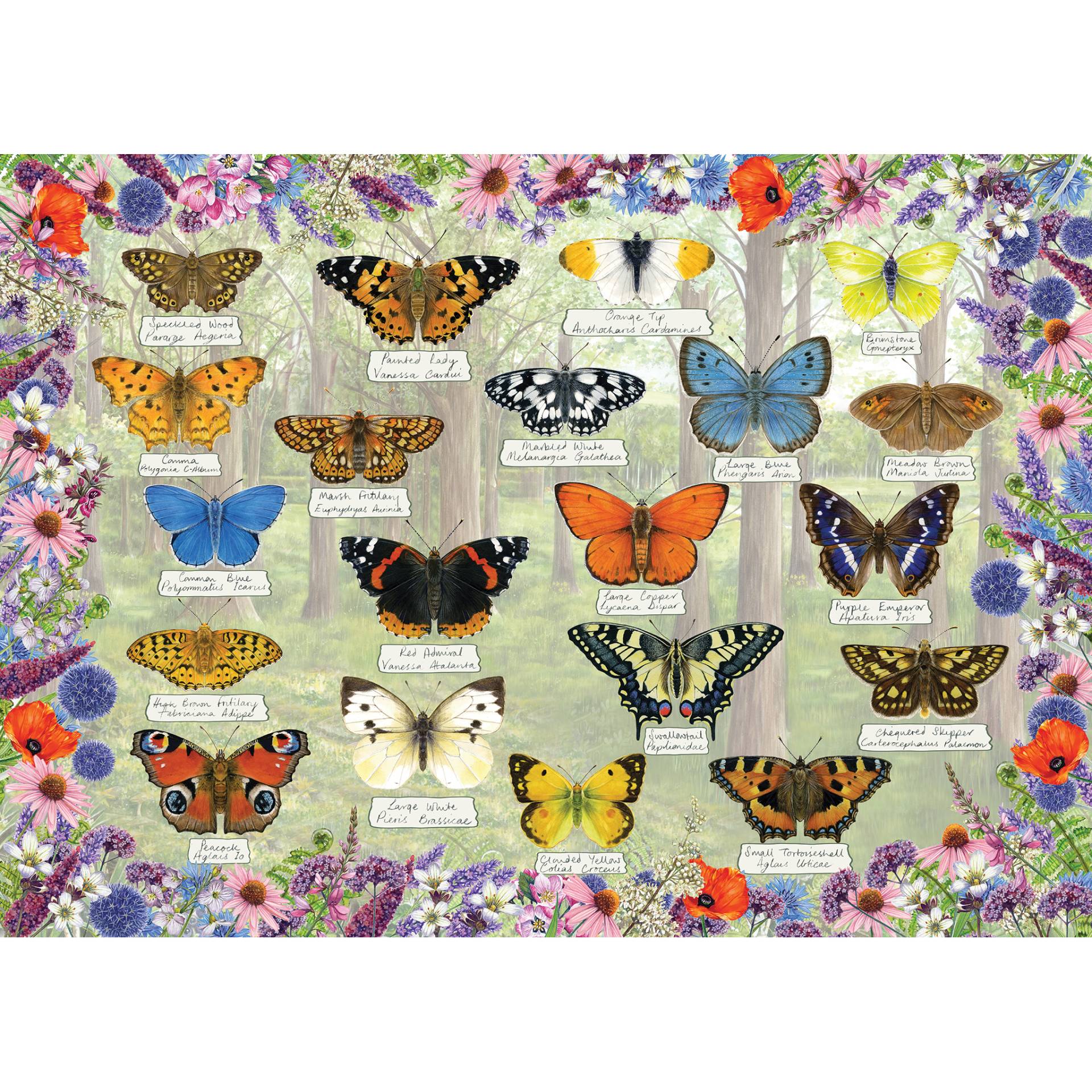 Gibsons Beautiful Butterflies 1000 Teile Puzzle Gibsons-G6366 Gibsons Beautiful Butterflies 1000 Teile Puzzle Gibsons-G6366 von Gibsons