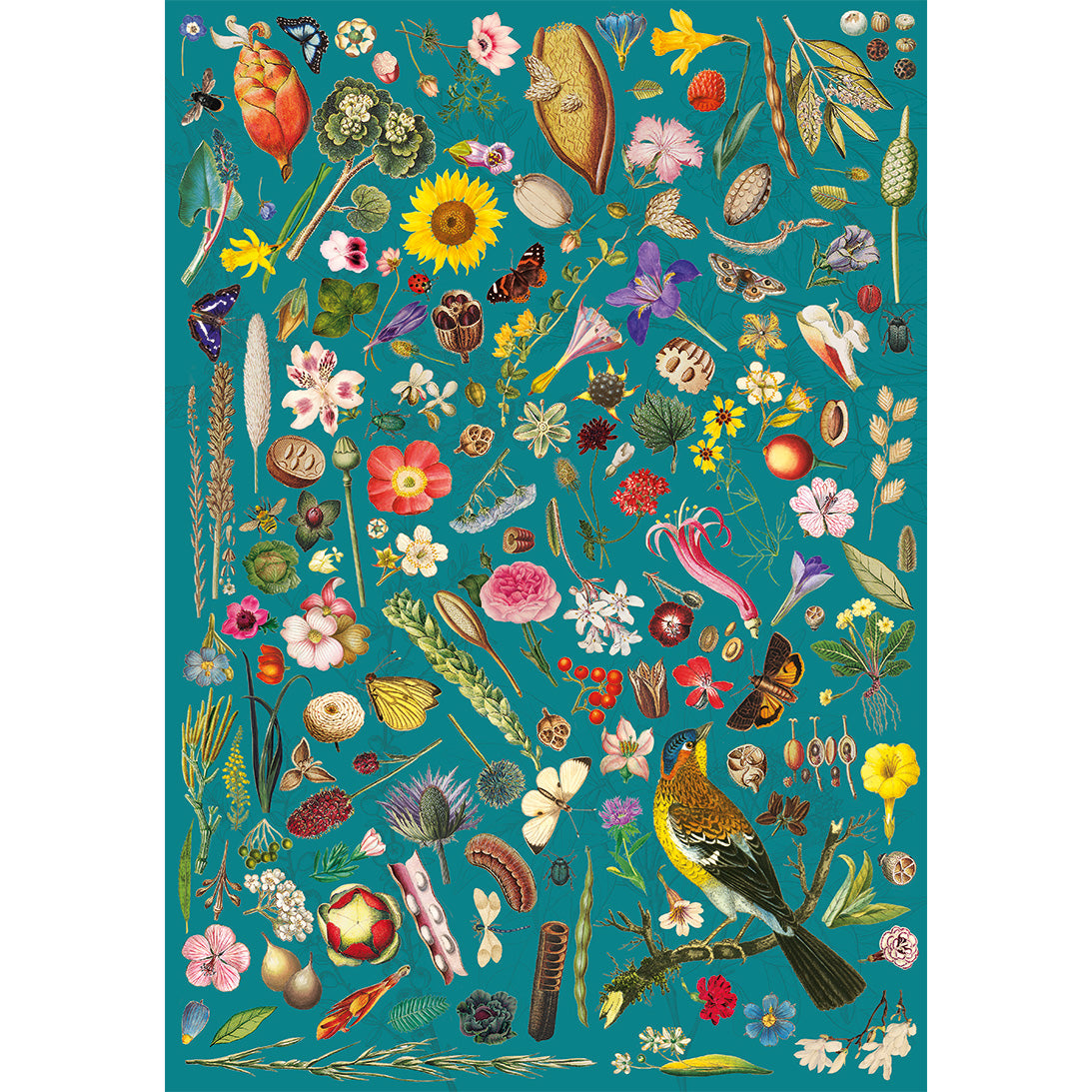 Gibsons RHS : Floral Fantasy 500 Teile Puzzle Gibsons-G3446 Gibsons RHS : Floral Fantasy 500 Teile Puzzle Gibsons-G3446 von Gibsons