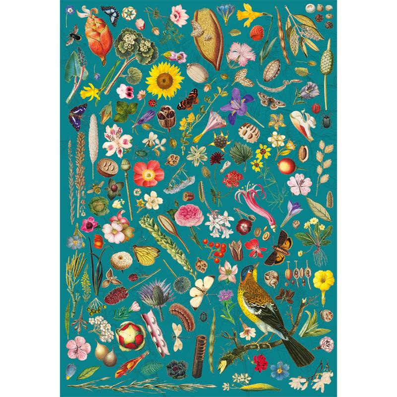 Gibsons RHS : Floral Fantasy 500 Teile Puzzle Gibsons-G3446 von Gibsons