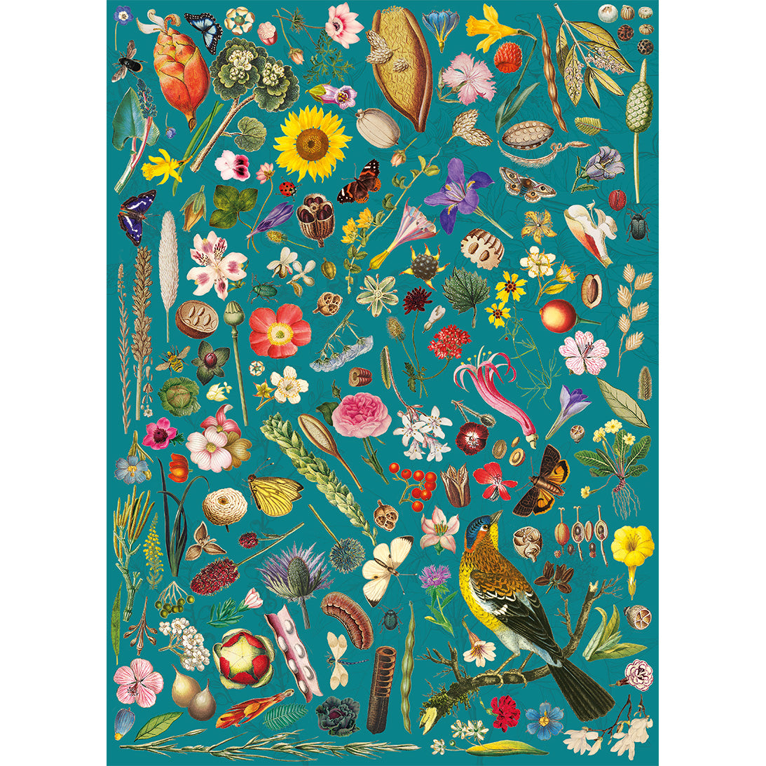 Gibsons Rhs: Florale Fantasie 1000 Teile Puzzle Gibsons-G7161 von Gibsons
