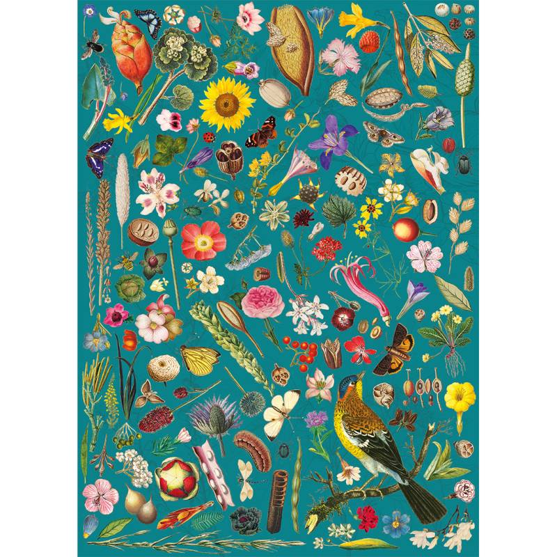 Gibsons Rhs: Florale Fantasie 1000 Teile Puzzle Gibsons-G7161 von Gibsons