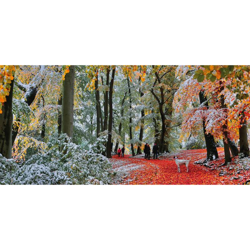 Gibsons Schnee Im Herbst 636 Teile Puzzle Gibsons-G4057 von Gibsons