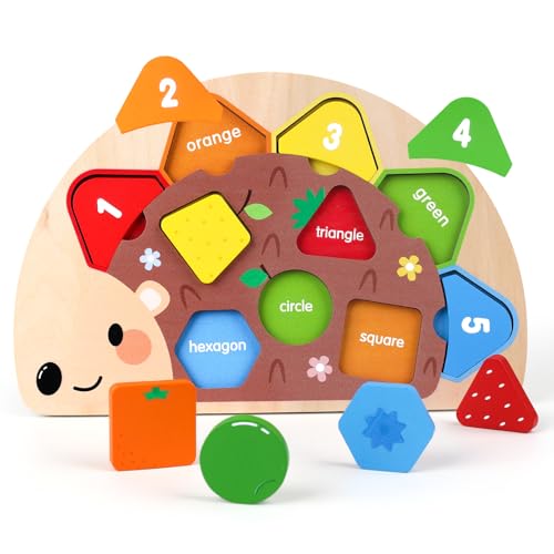 Montessori Spielzeug ab 1 2 3 Jahr: Holz Puzzle mit Steckpuzzle & Farben Lernen Sensorik Spielzeug für Kinder 1-3 Jahre Geschenk Junge Mädchen zum Geburtstag - Baby Spielzeug 6 8 9 18 Monate von GiddyGlow