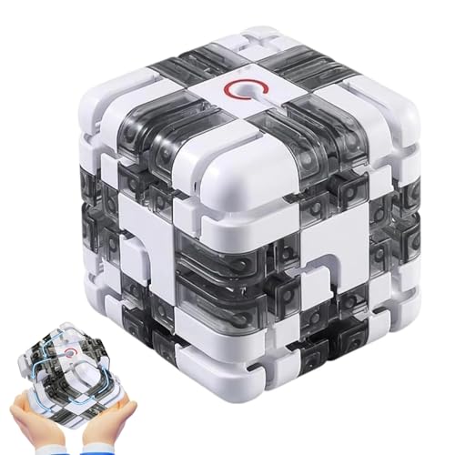 Large Labyrinth 3D Puzzle Maze Cube, 3D Maze Puzzle Cube, Spatial Awareness Brain Training Toy for Stress Relief & Logic Development, Educational Focus Game Gift for Adults Teens (C) von Gienslru