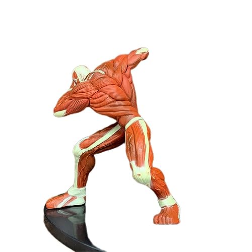 Gigsja 15 cm. The Armored Titan Red Vol.2 Reiner Braun Squat PVC Actionfigur Angriff auf Titan von Gigsja