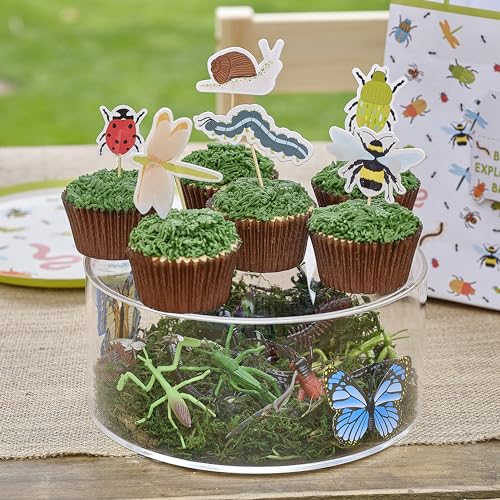 Ginger Ray Cupcake-Topper – Gemischte Packung mit Cupcake-Topper „Bug“ und „Happy Birthday“. von Ginger Ray