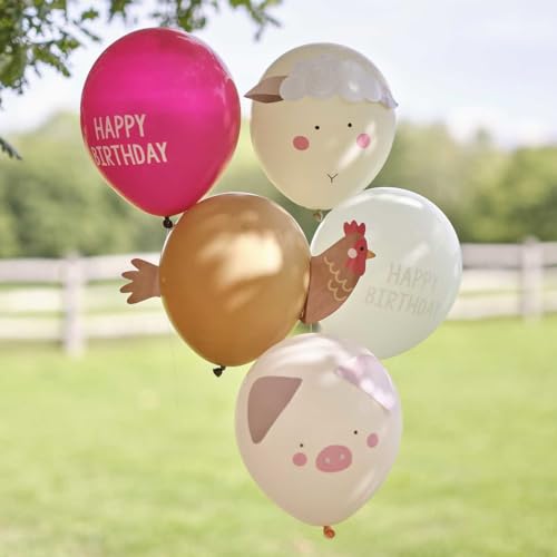 Ginger Ray Farm Themed Animals Birthday Balloon Party Bundle Pack of 5 von Ginger Ray