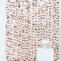 Party Hängedekoration Roségold, 1,7m x 2m, Foto-Hintergrund Party Hängedekoration Roségold, 1,7m x 2m, Foto-Hintergrund von Ginger Ray