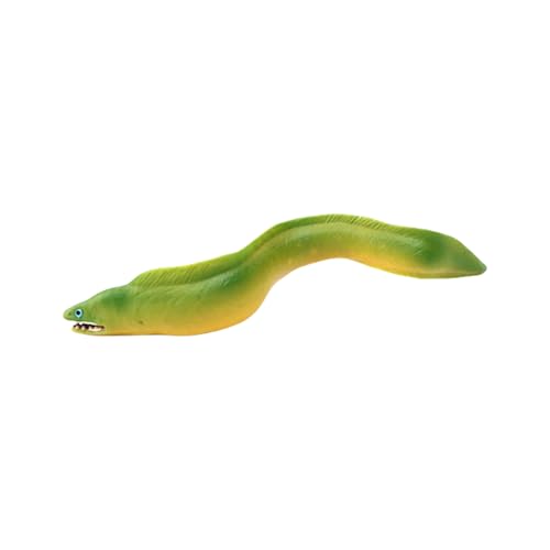 Gissroys Marine Life Educational Aal Model Figur Spielzeug Mit Simulationsstruktur Und Farbe Interaktiver Klassenzimmer Lernangebot Marine Fischmodell Figur von Gissroys