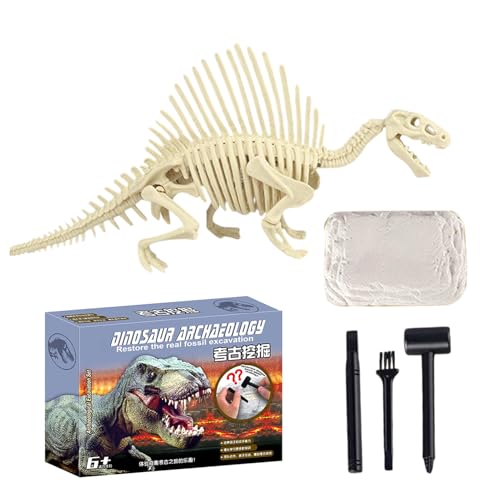 Dinosaur Fossil Digging Kit, Skeleton Excavation Toy Set, Educational Stem Hands-On Learning Activity, Fun Science Dig Exploration Tool, Ideal for Classroom Projects, Gypsum von Gitekain