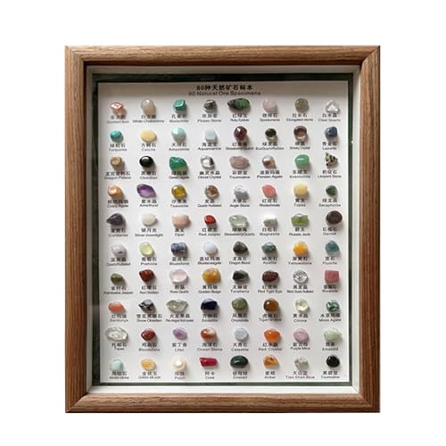 Mineral Identification Kit, 80X Raw Gemstones Specimens, Classic Rough Crystal Set, Decorative Wooden Frame Display (27.5x22.5cm), Ideal for Home Decor, Learning, Collectors von Gitekain