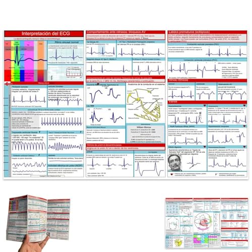EKG Pocket Guide, EKG Rhythmus Interpretation, doppelseitige kompakte tragbare Referenzkarte, schnelle Interpretation EKG Pocket Nurses Guide, Sanitäter Lernkarten, EKG-Interpretationsbuch (1 Stück) EKG Pocket Guide, EKG Rhythmus Interpretation, doppelseitige kompakte tragbare Referenzkarte, schnelle Interpretation EKG Pocket Nurses Guide, Sanitäter Lernkarten, EKG-Interpretationsbuch (1 Stück) von Giurui