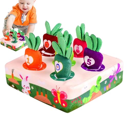GjnjfdF Karotten-Memory-Spiel - Plüschtier Karottenernte-Spiel,Plüsch-Sortierspielzeug, Geschenke für Kleinkinder, Kinder im Alter von 1–3 Jahren, Vorschul-Lern-Sensorik-Box-Spiel GjnjfdF Karotten-Memory-Spiel - Plüschtier Karottenernte-Spiel,Plüsch-Sortierspielzeug, Geschenke für Kleinkinder, Kinder im Alter von 1–3 Jahren, Vorschul-Lern-Sensorik-Box-Spiel von GjnjfdF