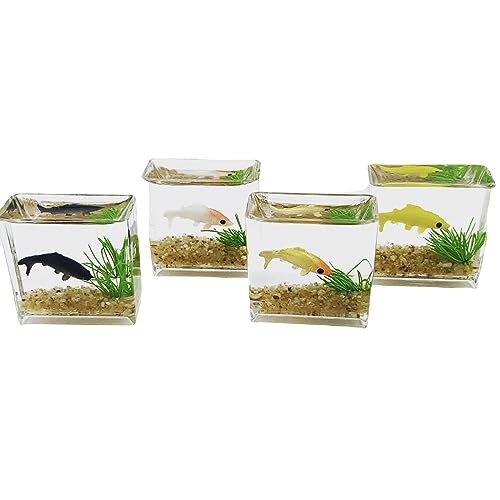Winziges Glasfisch-Aquarium, zartes Modell-Zubehör für Puppenhaus-Sammler, Miniatur-Szenensimulation, Mini-Glas-Fischbecken von Glanhbnol