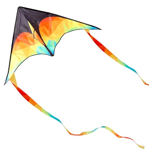 Glanxy Bunter Delta Drachen - Lenkdrachen für Kinder und Erwachsene, Einfach zu Fliegen - 125 x 65 cm Kinderdrachen, Einleiner Flugdrachen für Anfänger mit 50 m Drachenschnur für Strand Parkausflüge von Glanxy