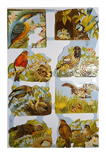 Glanzbilder 1762 Vogel Vögel Nest Küken Posiebilder Deko Mamelok 85 von Glanzbilder