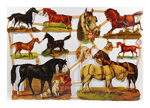 Glanzbilder EF 7226 Pferd Hund Schimmel Wallach Hengst Pony Pferde Posiebilder Deko GWI 761 Glanzbilder EF 7226 Pferd Hund Schimmel Wallach Hengst Pony Pferde Posiebilder Deko GWI 761 von Glanzbilder