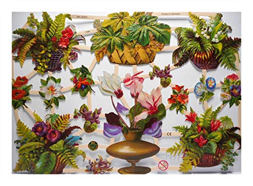 Glanzbilder EF 7296 Blume Pflanze Farn Gesteck Veilchen Posiebilder Deko 808 Glanzbilder EF 7296 Blume Pflanze Farn Gesteck Veilchen Posiebilder Deko 808 von Glanzbilder